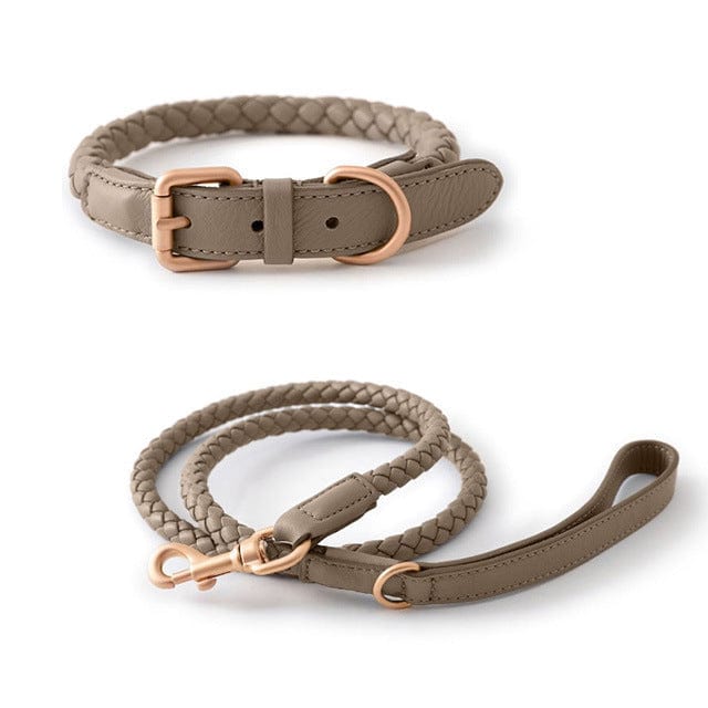 Collier en cuir robuste pour grands chiens avec fermetures métal, couleur beige, élégant et durable.