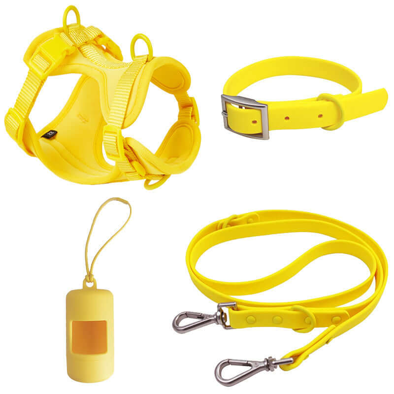 Ensemble de harnais, laisse, collier et distributeur en PVC jaune pour chiens et chats.