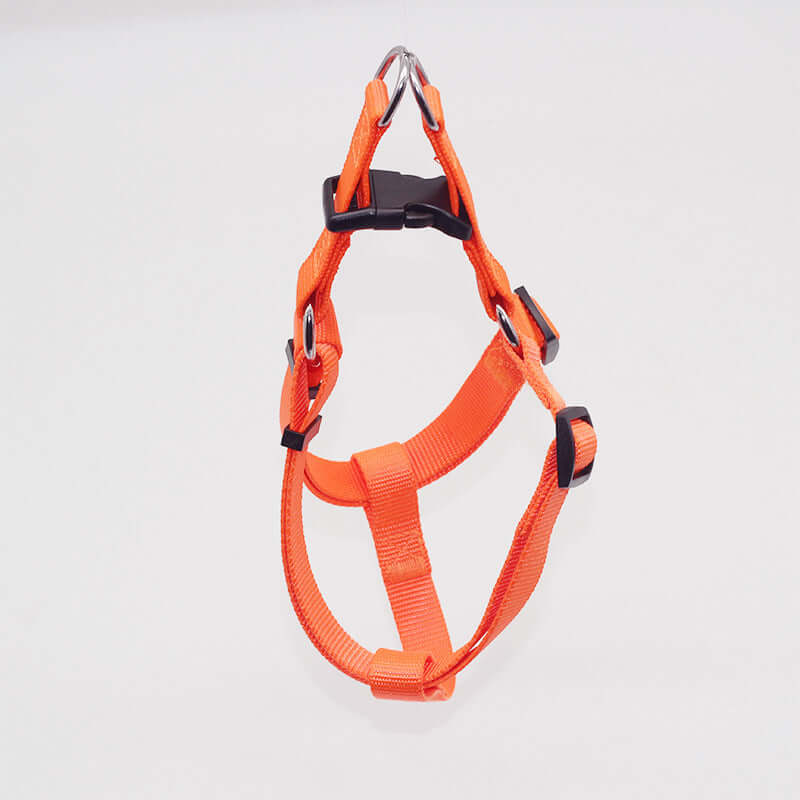 Harnais de poitrine résistant pour animaux en nylon orange, idéal pour chiens et chats, offrant sécurité et confort.
