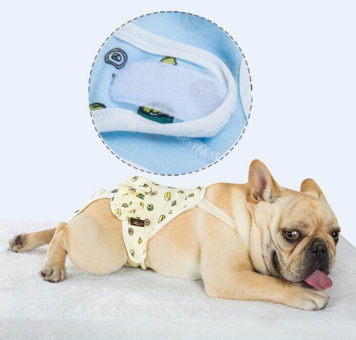 Pantalons anti-harcèlement pour pug en coton, confortables et stylés, détails visibles de la doublure.