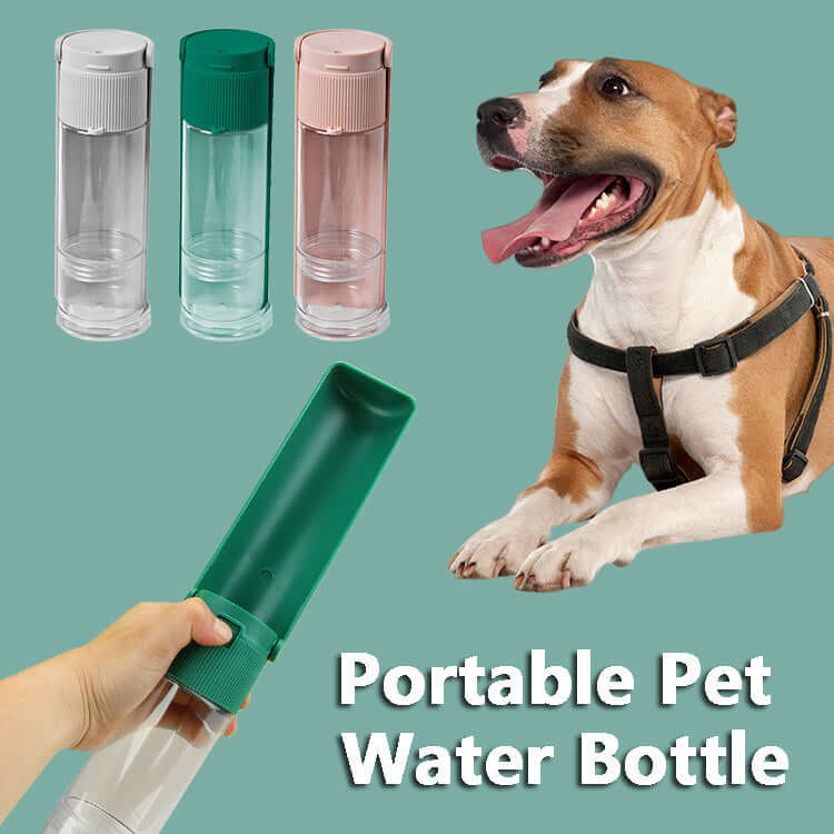 Bouteille d'eau portable pour animaux avec plusieurs couleurs, idéale pour chiens et chats en voyage.