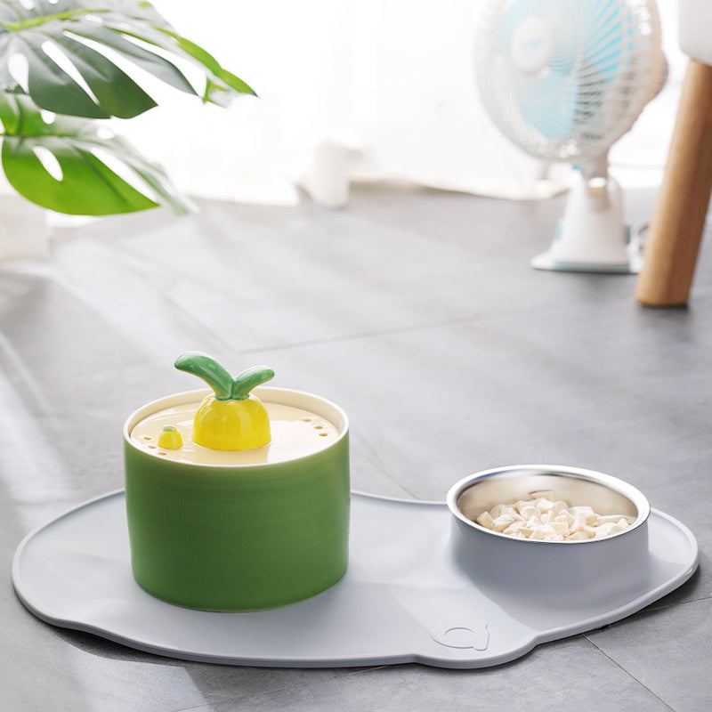 Fontaine à eau pour chien en forme de fruit, design esthétique et fonctionnel, avec bol en inox sur tapis