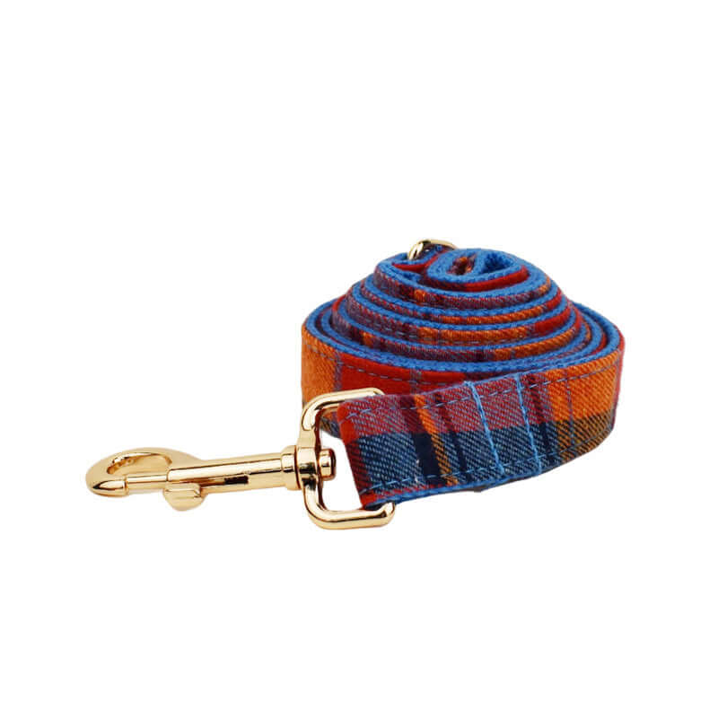 Laisse pour chien en coton biologique bleu et orange avec clip doré, design élégant et confortable.