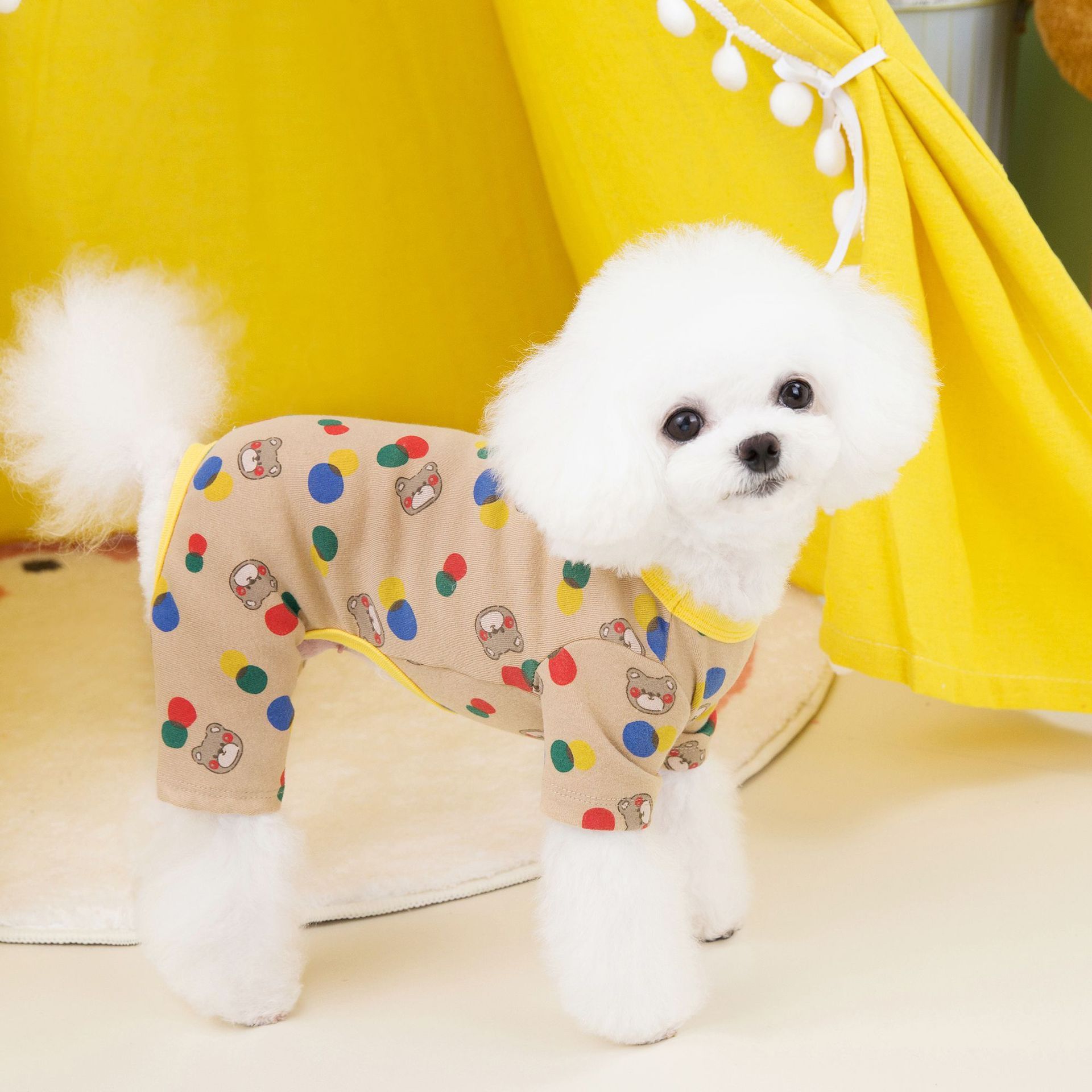 Chien mignon en vêtements colorés Ballon Ours, confortables et stylés, sur un tapis près d'une tente.