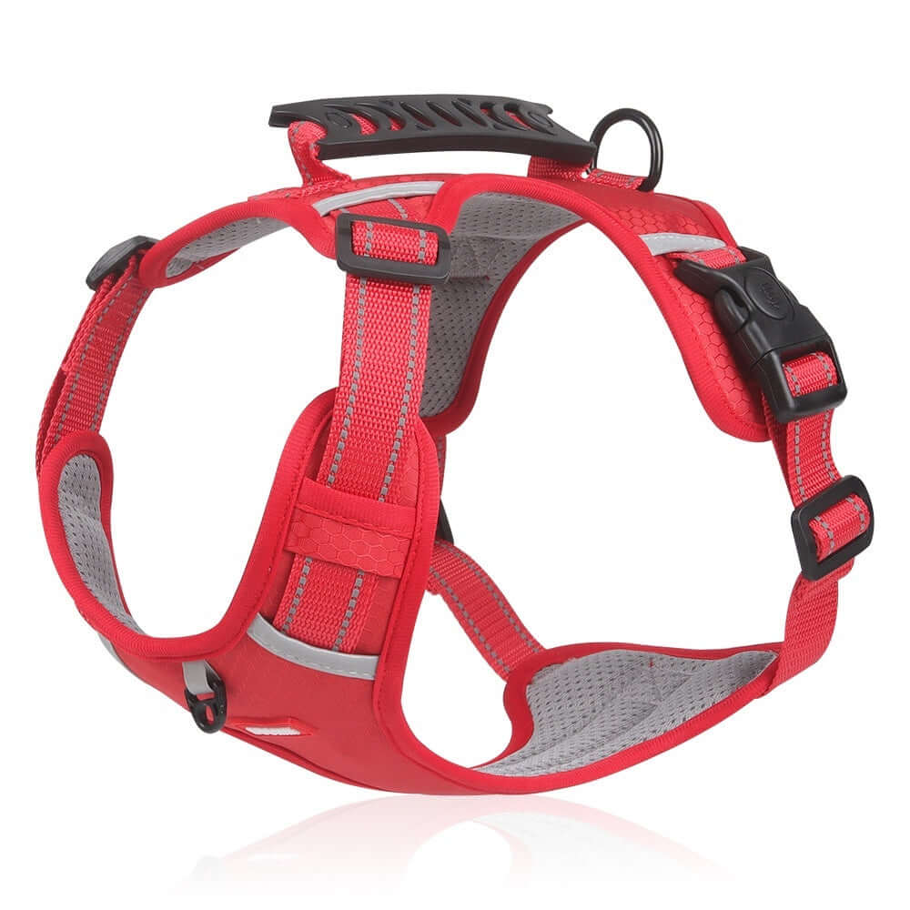 Harnais de sécurité pour chien en rouge, avec tissu respirant et fermeture réglable.