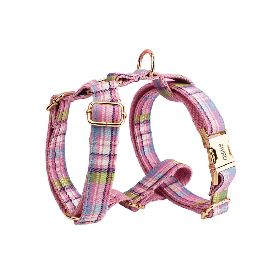 Collier pour chien en coton biologique avec motif à rayures colorées, conçu pour le confort et la sécurité.