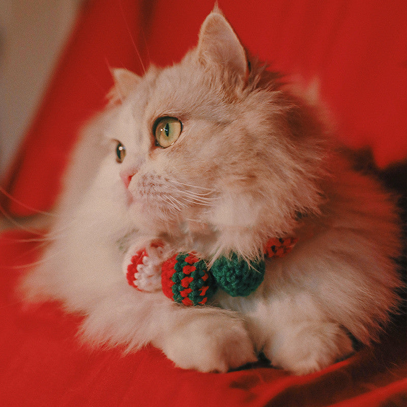 Chat aux yeux verts avec un collier coloré, se reposant sur un canapé rouge pendant les fêtes.