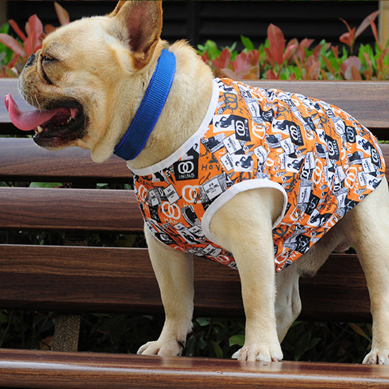Chien français dans un gilet d'été coloré, parfait pour les journées ensoleillées, portant un collier bleu.