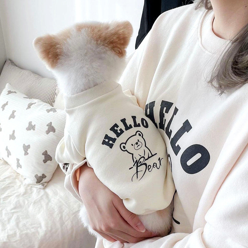 Chien portant un pull imprimé ours, dans les bras d'une personne, avec ambiance cosy.