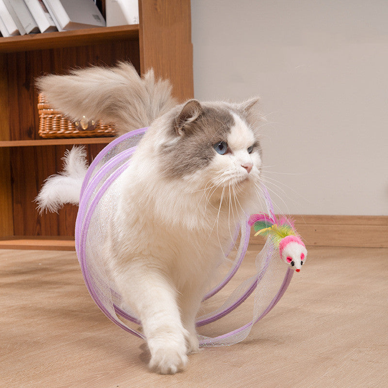 Jouet Tunnel pour Chat Pliable en S avec Rangement