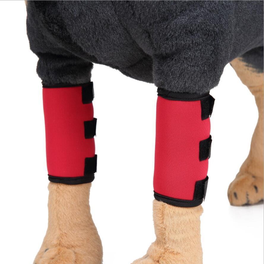 Protection de jambe pour chien rouge en SBR, accessoire de confort et sécurité pour animaux.