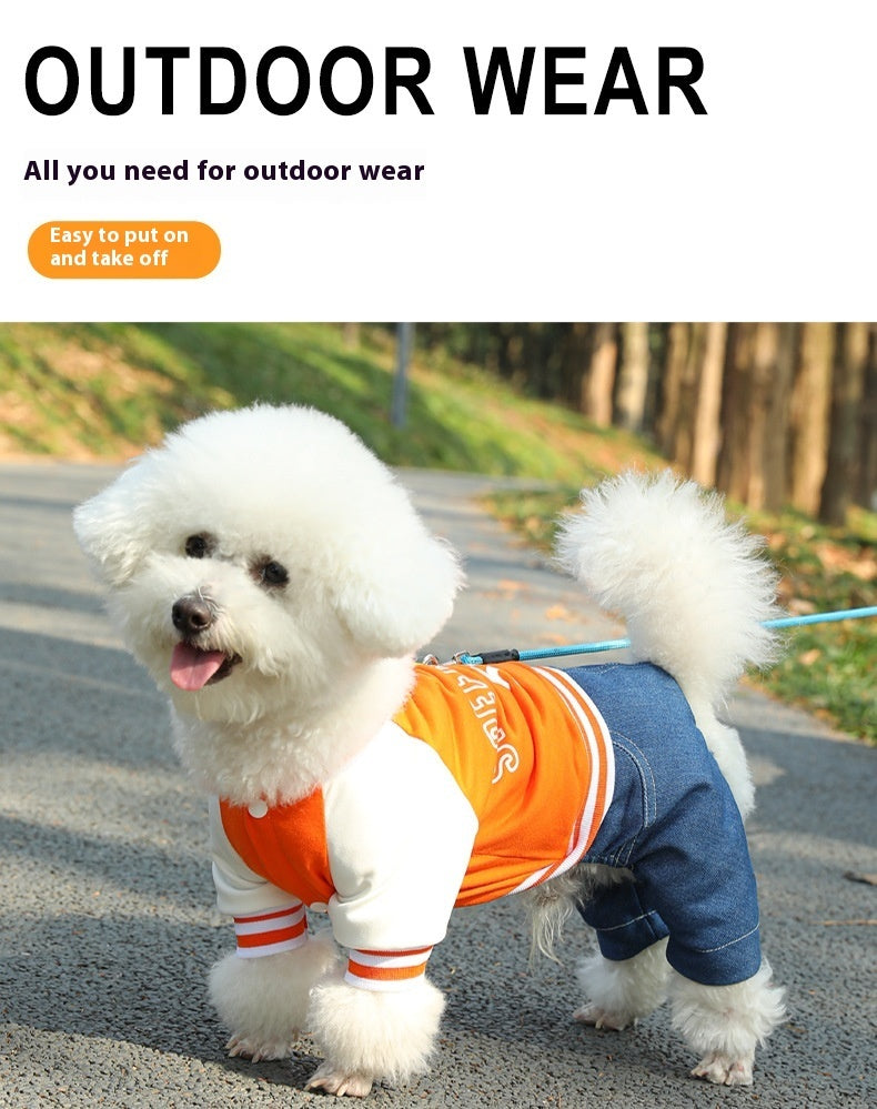 Chien en pull orange et pantalon en extérieur, parfait pour des sorties tendance et confortables.