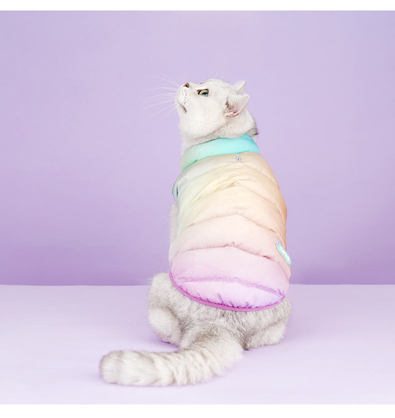 Chat portant un gilet coloré tendance sur fond violet, offrant style et confort en hiver.