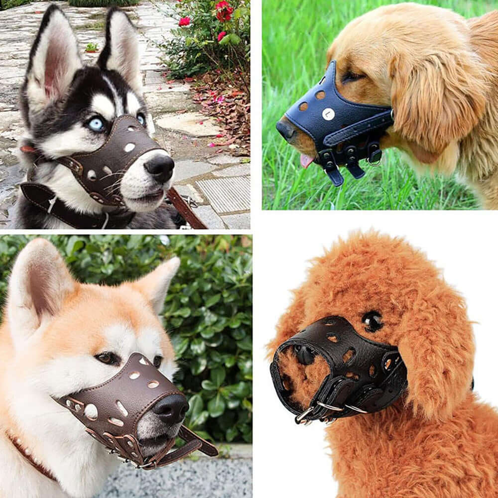 Muselière en cuir pour chiens de différentes races, confortable et anti-morsure, idéale pour le quotidien.