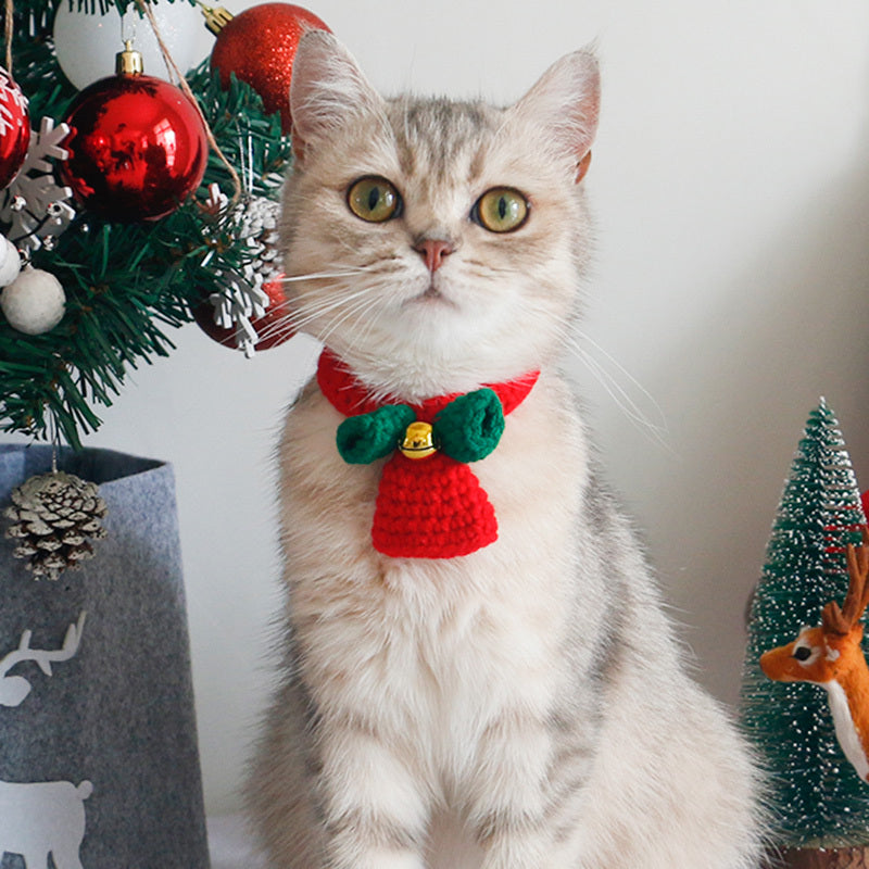 Chat portant une écharpe de Noël rouge et verte avec une cloche, devant un sapin décoré.