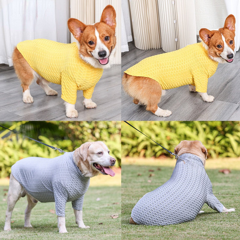 T-shirt pour chien en polyester, hiver/automne, disponible en jaune et gris, coupe décontractée, style chic.