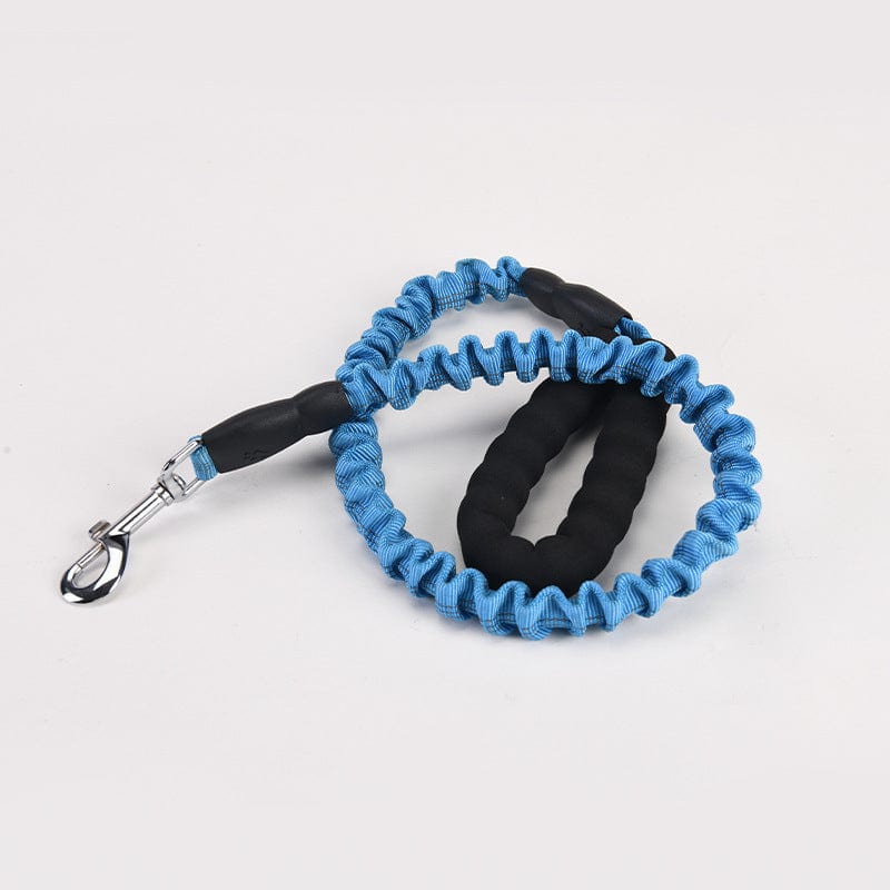 Laisse élastique pour chien bleue avec poignée ergonomique pour promenades confortables.