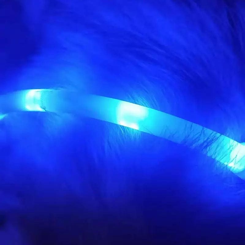 Collier lumineux anti-perte pour chiens avec éclairage LED bleu, offrant visibilité pendant les promenades nocturnes.