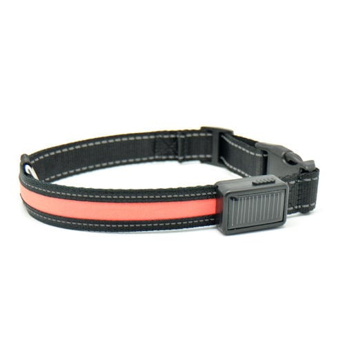 Collier de chien fluorescent avec recharge solaire, en nylon, pour visibilité nocturne.
