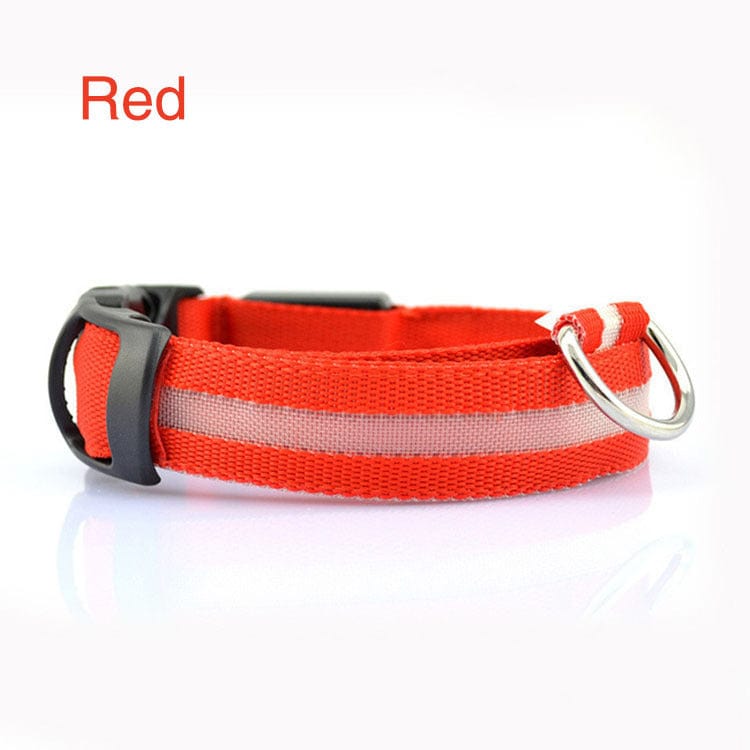 Collier LED de Sécurité pour Chien rouge avec sangle réfléchissante pour promenades nocturnes.