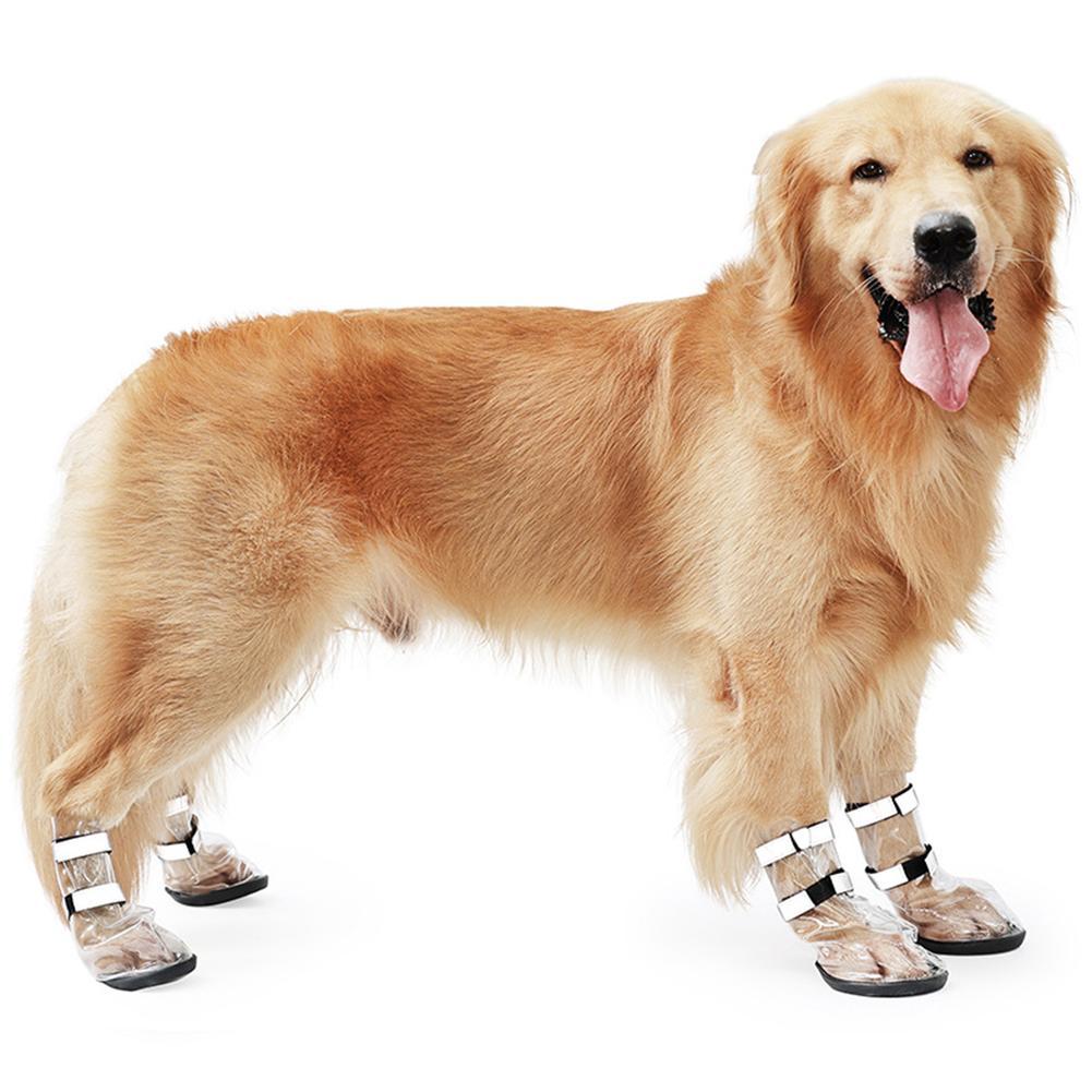 Golden Retriever wearing waterproof shoes for large dogs, showcasing stylish and protective pet footwear.