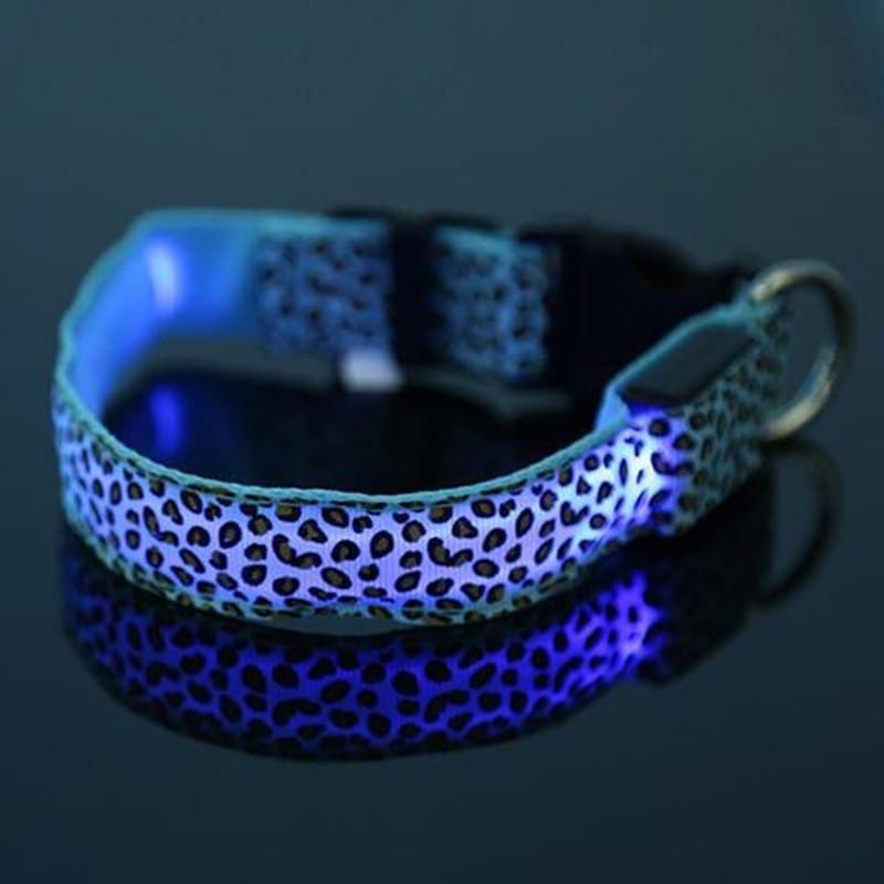 Collier LED ajustable en nylon léopard pour chien, offrant visibilité dans l'obscurité pour la sécurité lors des promenades.