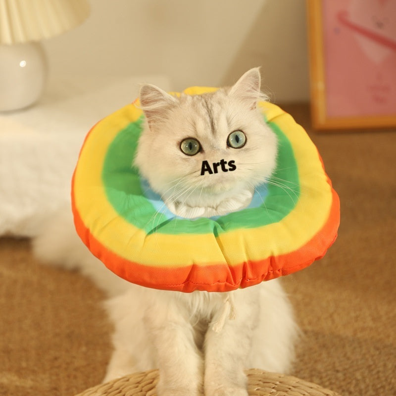 Chat avec un collier anti-léchage coloré en forme de coussin pour la récupération, mettant en avant l'originalité et le confort.