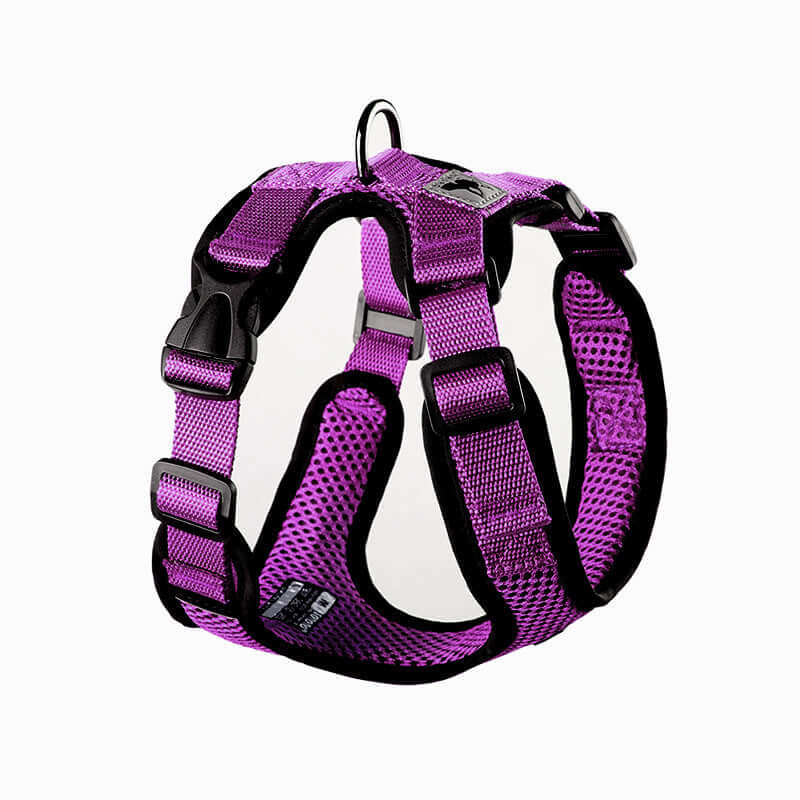 Harnais pour chien en maille respirante, couleur violet, réfléchi pour une visibilité nocturne.