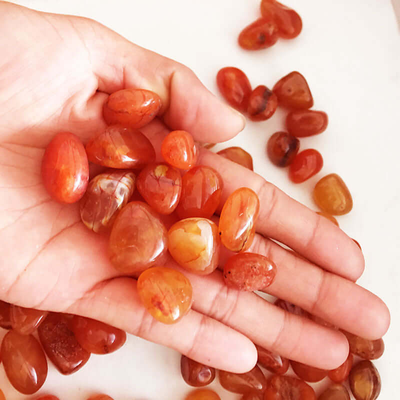 Main hand holding polished red carnelian stones, showcasing their vibrant colors and natural beauty.