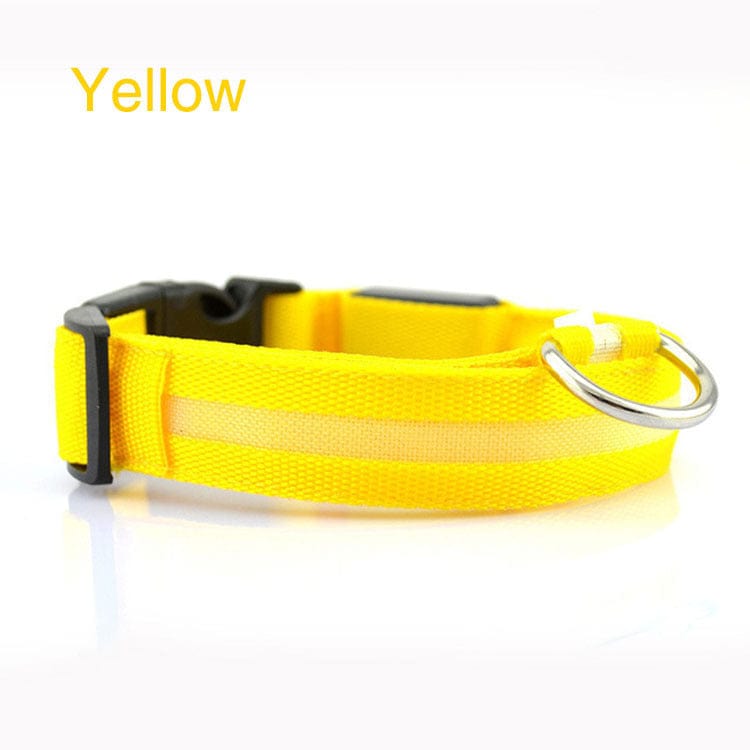 Collier LED de Sécurité pour Chien en jaune, idéal pour promenades nocturnes avec lumière réfléchissante.