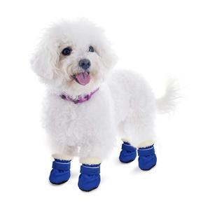 Chien Bichon Frise portant des bottes d'hiver imperméables bleues, protégeant ses pattes de la neige et du froid.
