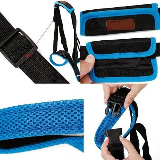 Harnais de support pour patte arrière de chien, en mesh, confortable et durable, pour aider à la mobilité.