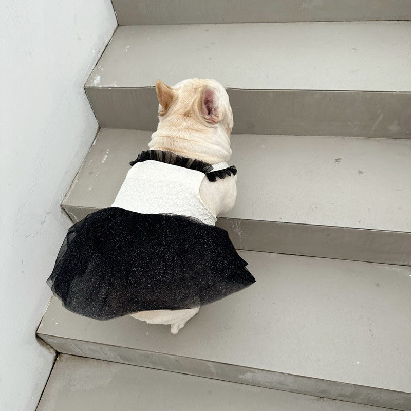 Robe Aéro Bull pour Chien Pomeranien