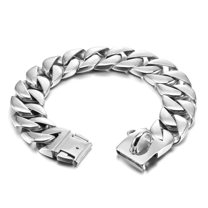 Collier en acier inoxydable renforcé pour chien, design élégant et robuste, adapté à toutes les tailles.