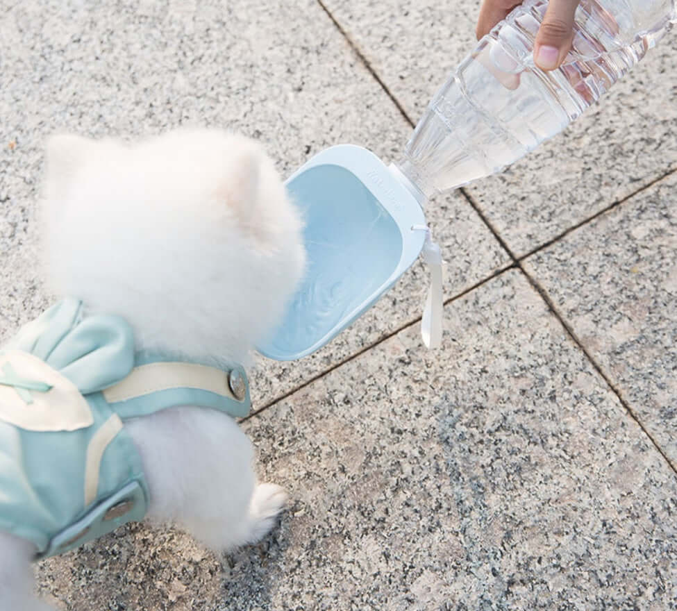 Bouteille d'eau portable Teddy versant de l'eau pour un chien, accessoire pratique pour animaux.