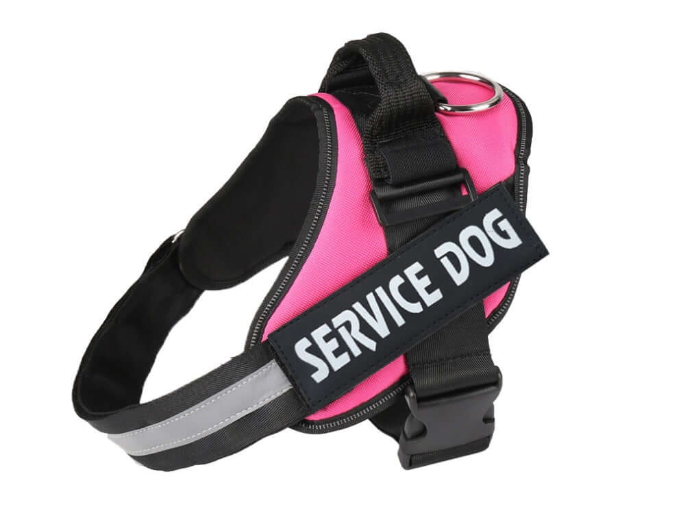 Harnais de service pour chien en nylon rose avec étiquette 'Service Dog' pour plus de visibilité et de sécurité.