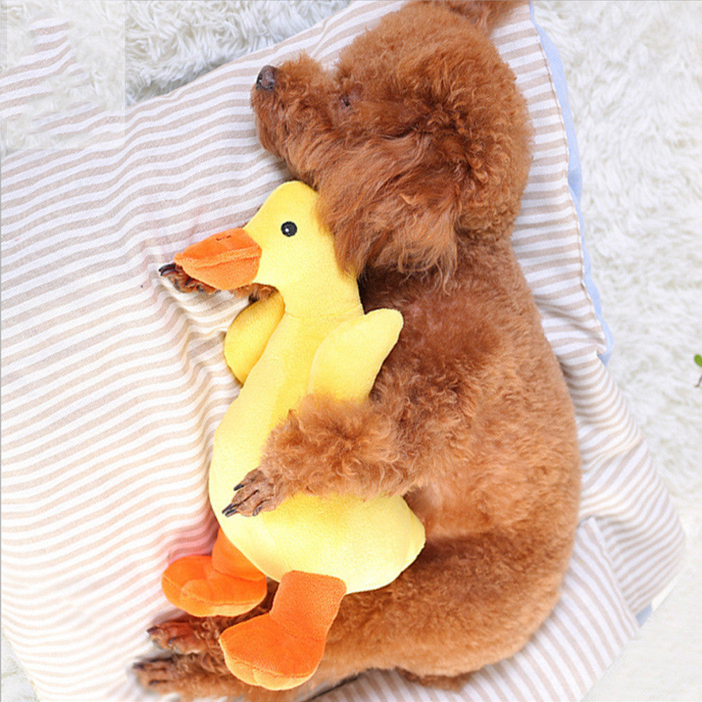Jouet en Peluche pour Chien - Jouet Vocal Huayuan