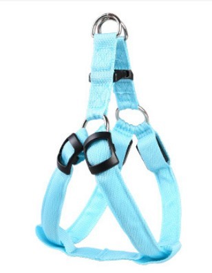 Harnais lumineux bleu pour chien, idéal pour les promenades nocturnes en toute sécurité.