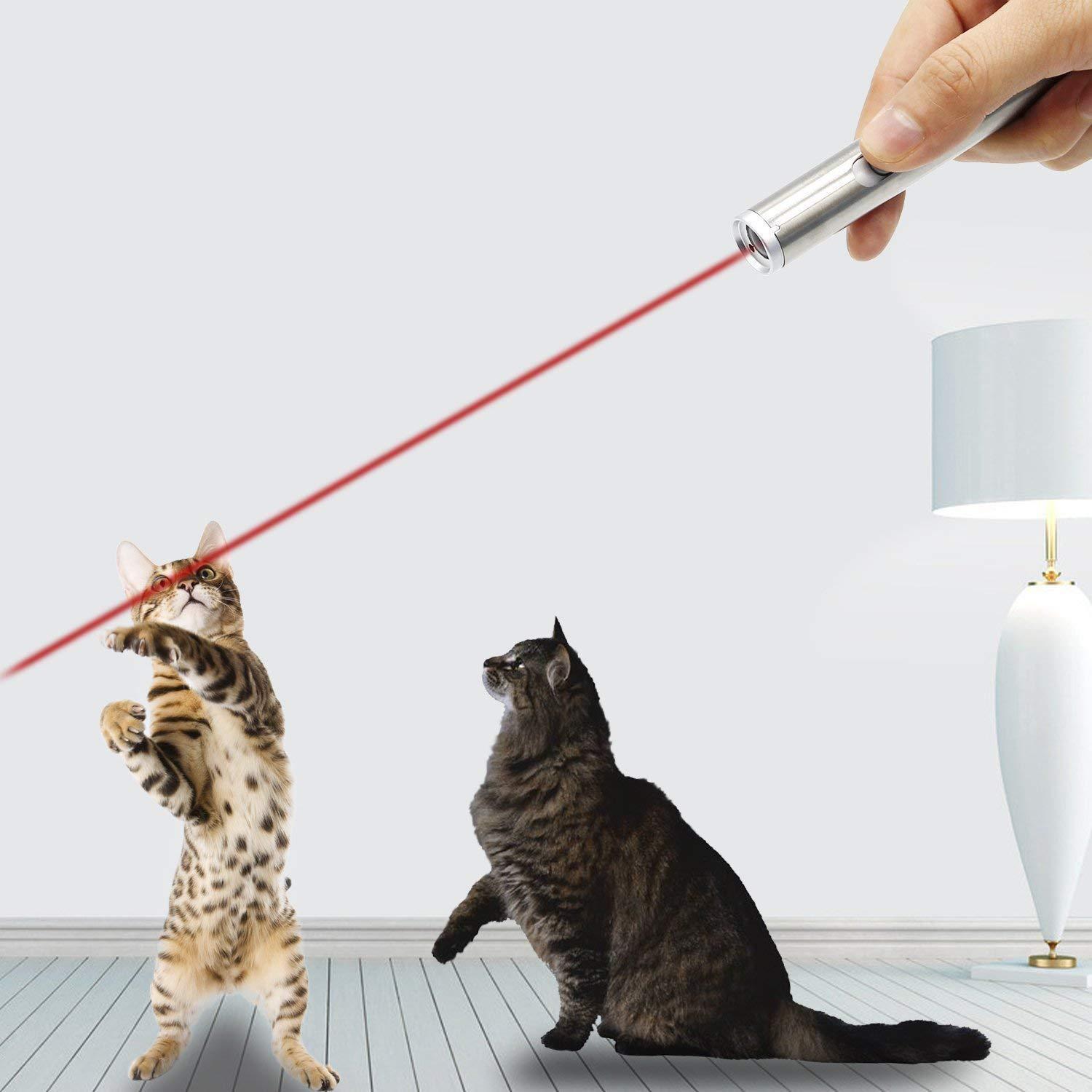 Bâton Laser Amusant pour Chats en Acier Inoxydable