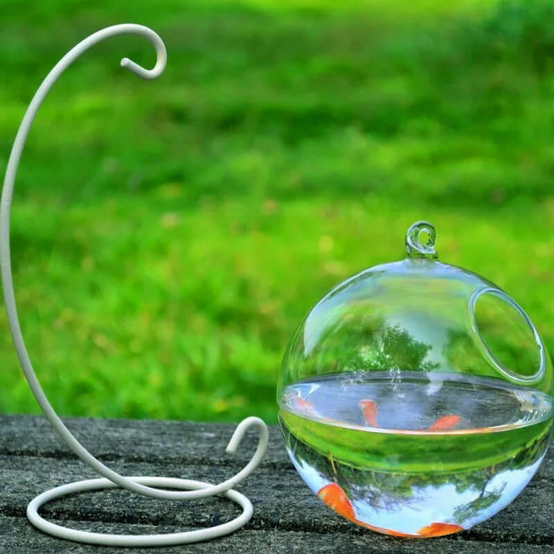 Vase à suspendre en verre avec aquarium miniature et support, idéal pour l'intérieur et extérieur.