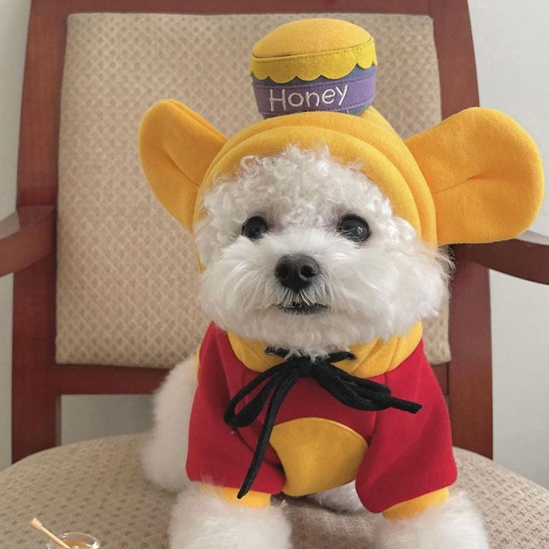 Chien portant un costume color block inspiré de Winnie l'Ourson, avec une touche amusante et accueillante.