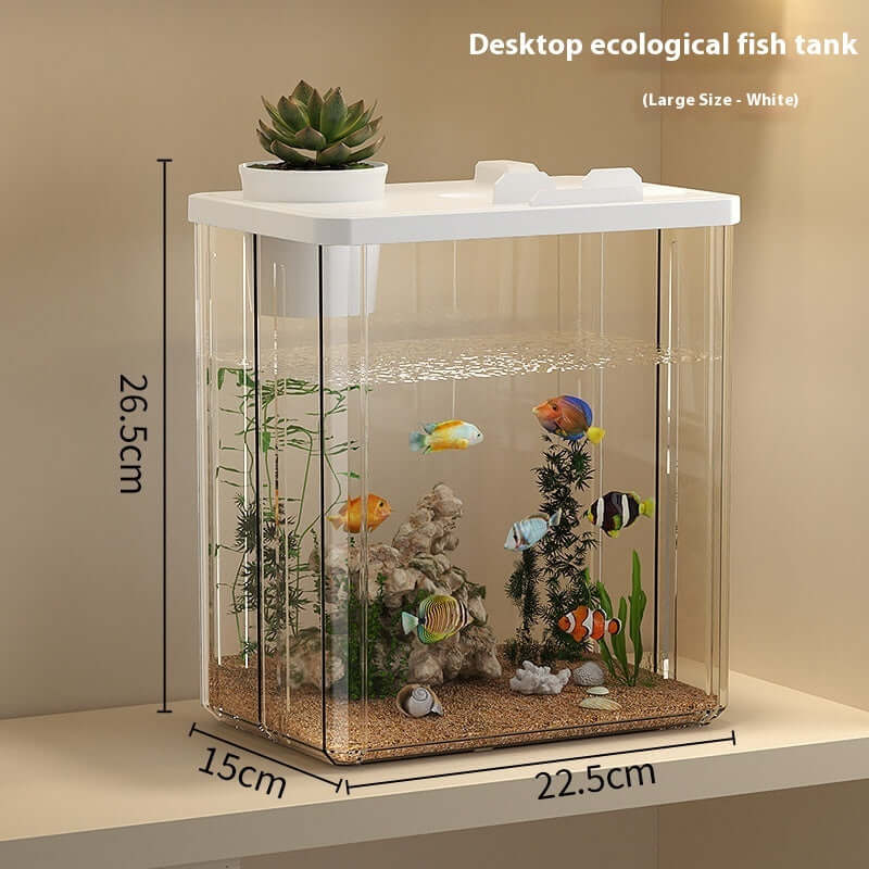 Aquarium de bureau en plastique blanc, adapté pour petits espaces, avec plantes et poissons colorés.