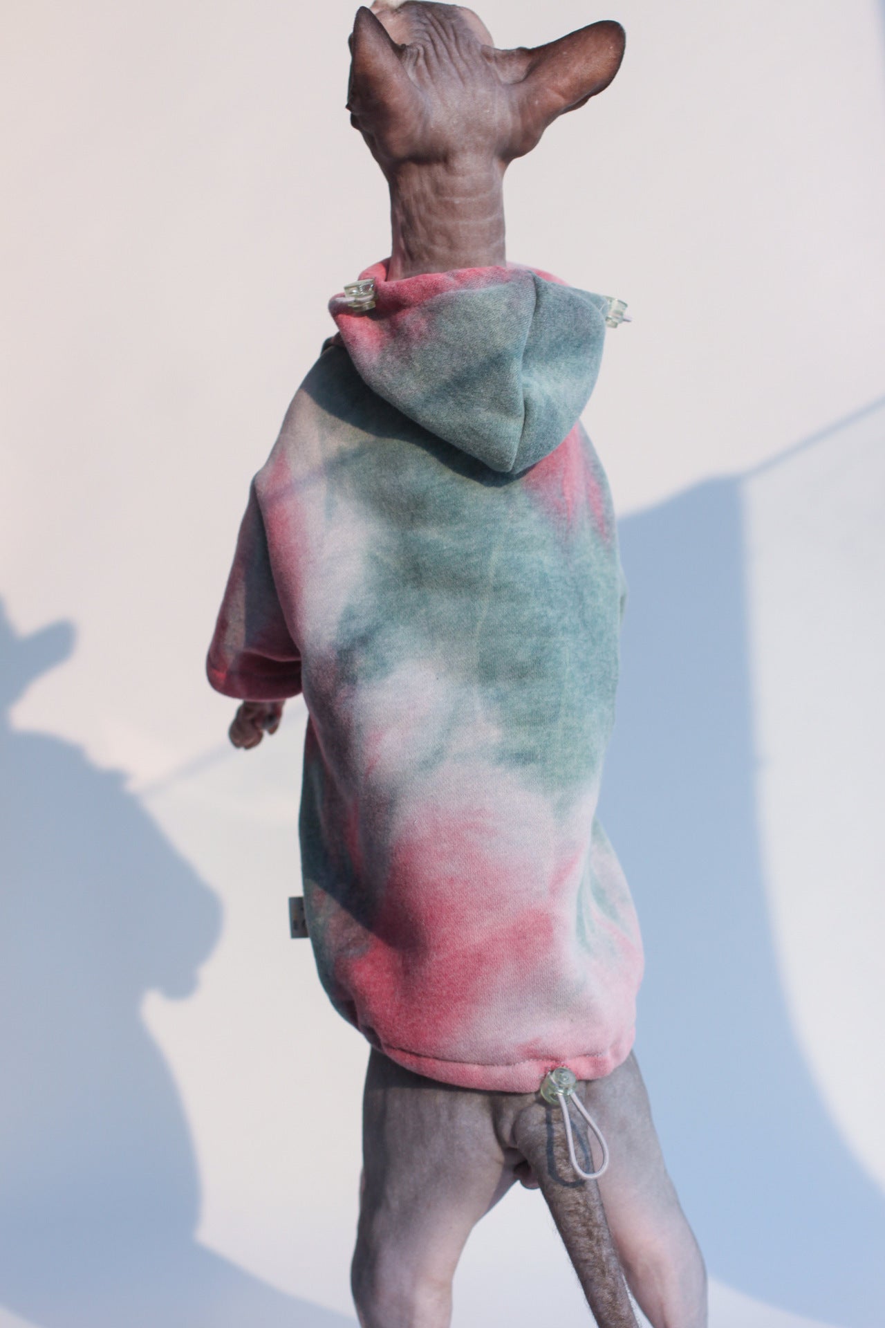 Hoodie chaud en velours tie-dye pour chien, couleur rose-vert, confort décontracté pour animaux.