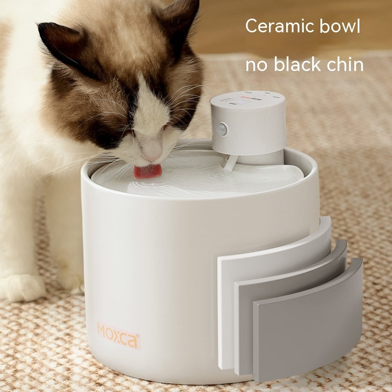 Chat buvant de l'eau d'un distributeur d'eau intelligent en céramique, conçu pour une hydratation optimale.