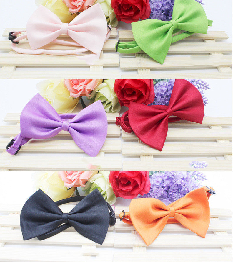 Nœud papillon en fleurs pour chiens et chats, disponible en plusieurs couleurs, élégant et pratique.