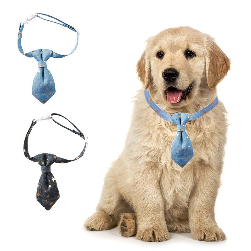 Chiens portant des cravates tendance, accessoire élégant pour animaux, style décontracté pour petits chiens.