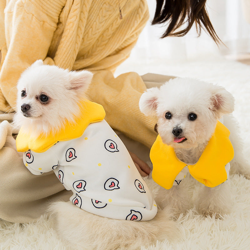 Deux petits chiens portant des vêtements colorés, assis sur un tapis moelleux, avec des motifs de visages d'œufs.