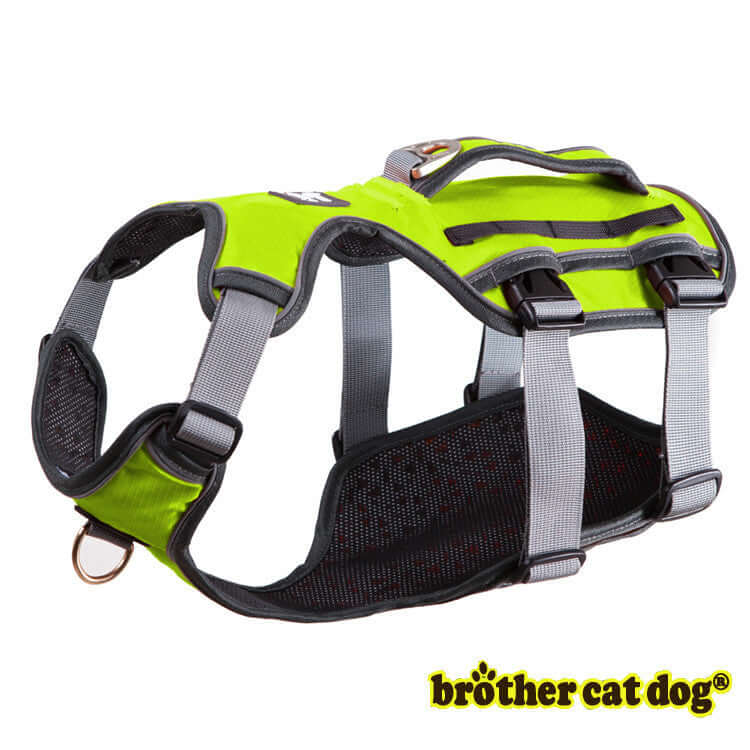 Harnais de sécurité pour chien en polyester lumineux, idéal pour la sécurité et le confort des animaux.