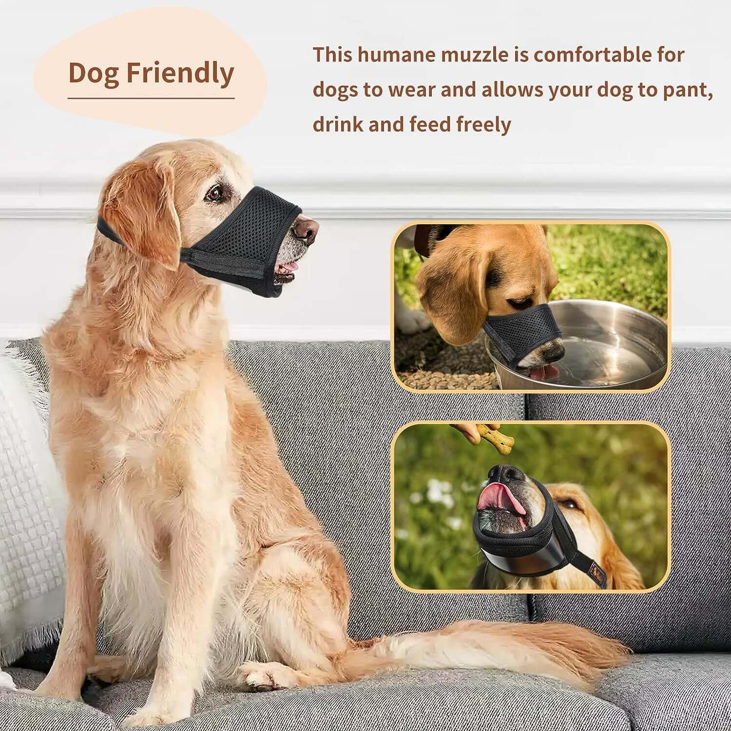 Muselière mesh pour chien confortable, permettant à votre animal de boire et se nourrir librement, design amical.