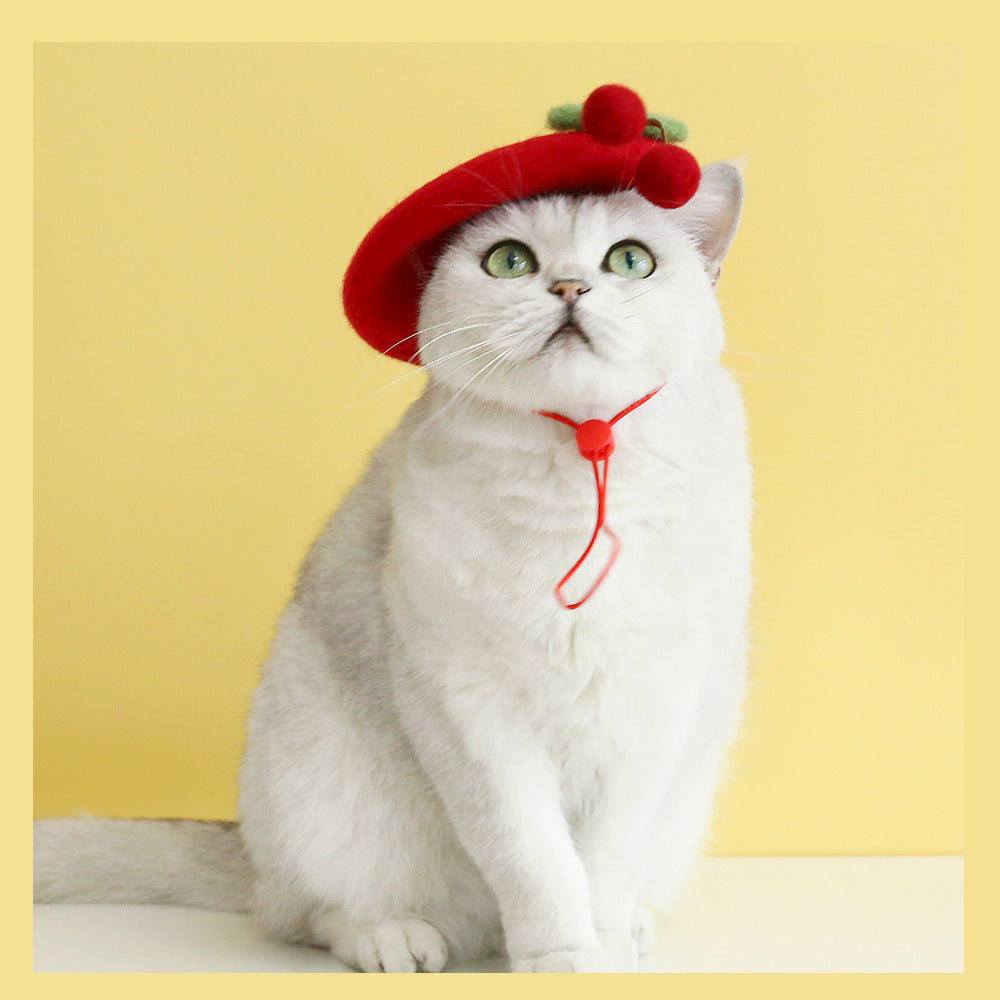 Chat portant un chapeau en laine rouge modèle Cherry, ajoutant du charme à son look.